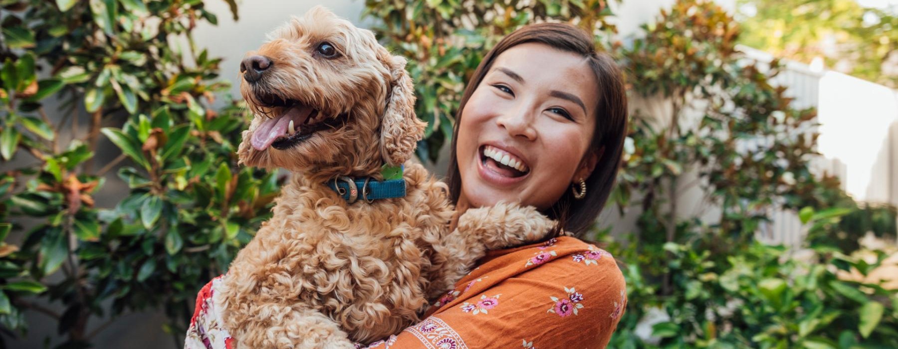 a person holding a dog